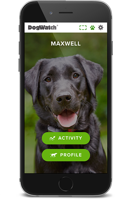 DogWatch of Miss-Lou, Bay St. Louis, Mississippi | SmartFence WebApp Image