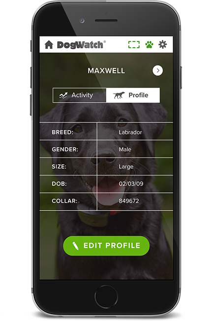 DogWatch of Miss-Lou, Bay St. Louis, Mississippi | SmartFence WebApp Image