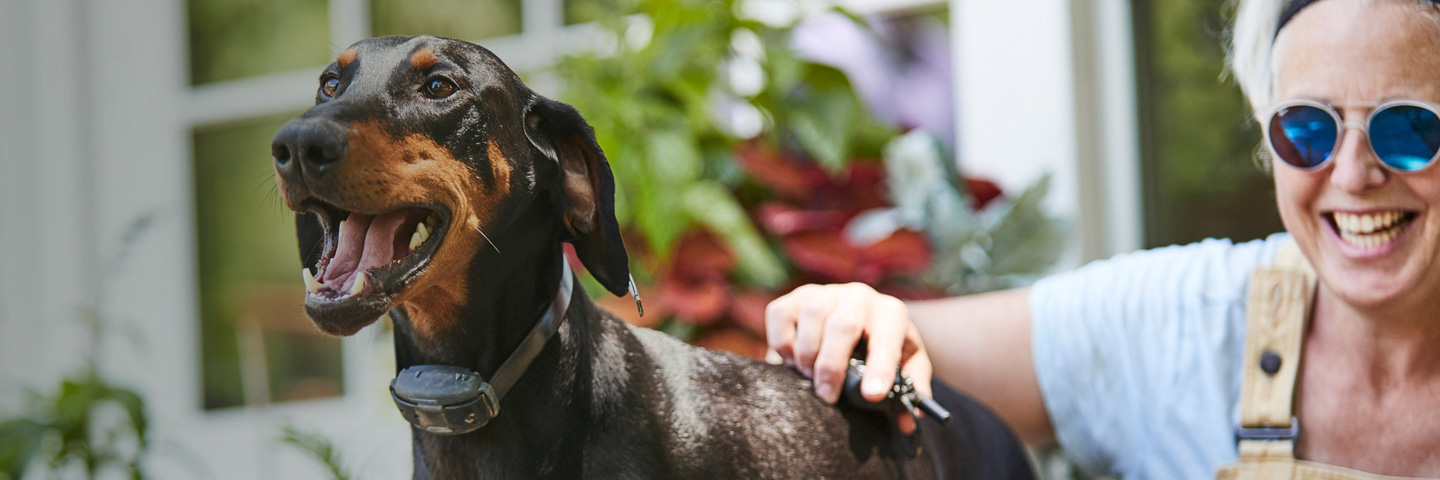 DogWatch of Miss-Lou, Bay St. Louis, Mississippi | Remote Dog Training Collars Slider Image